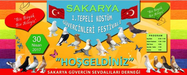 1.Sakarya Tepeli Kostüm Güvercinleri Festivali-2017